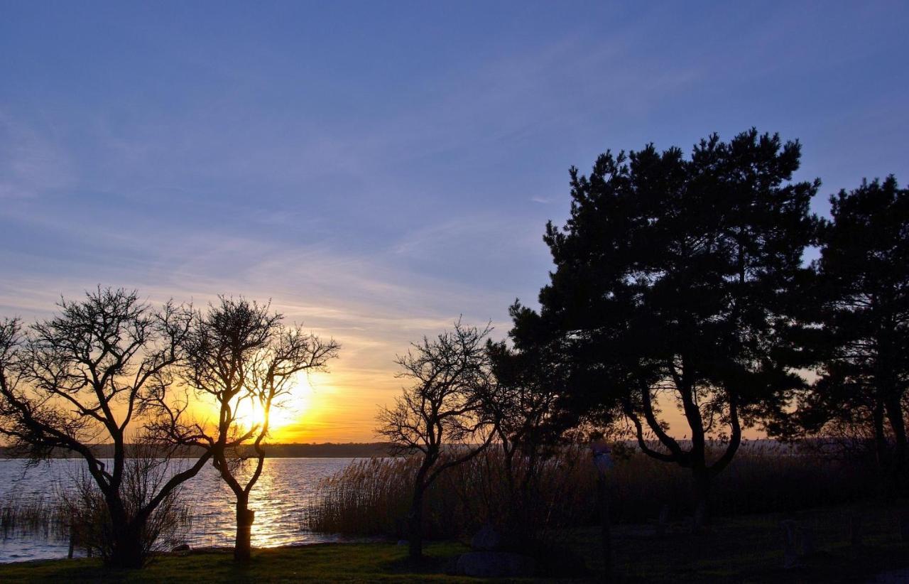 Appartamento Haus Carmen Auf Usedom Nr.6 Ziemitz Esterno foto