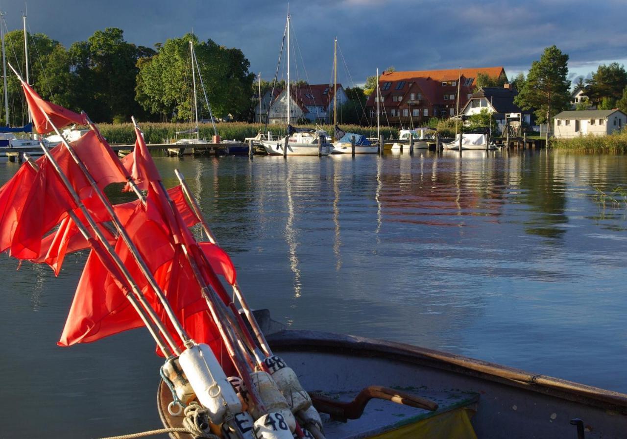 Appartamento Haus Carmen Auf Usedom Nr.6 Ziemitz Esterno foto